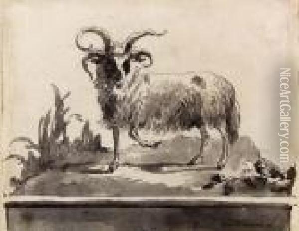 A Ram Walking To The Left Oil Painting - Giovanni Domenico Tiepolo
