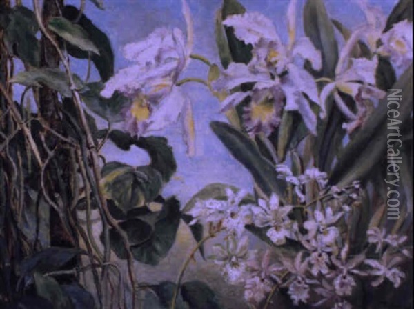 Orchideen Oil Painting - Rudolf Ribarz