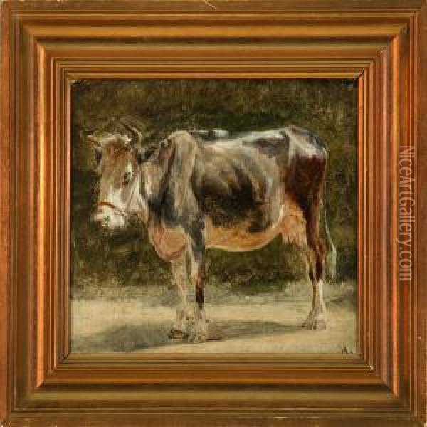 A Cow Oil Painting - Otto Haslund