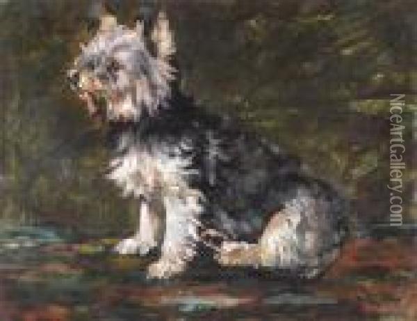 Study Of A Terrier Oil Painting - John Emms