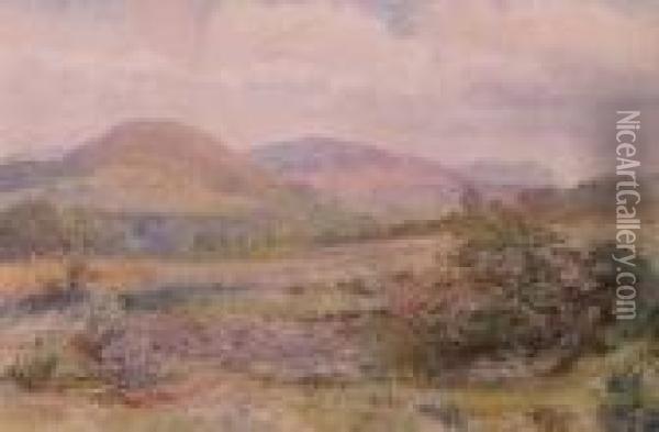 The Vale Of Clwyd Oil Painting - David Cox