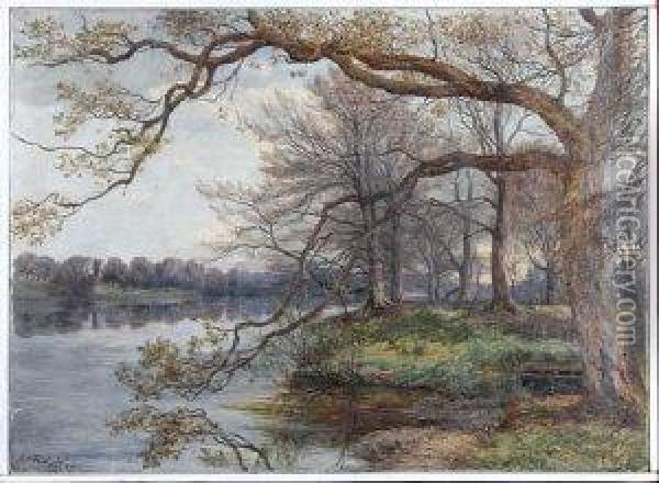 Trees By A River Oil Painting - James Jnr Faed