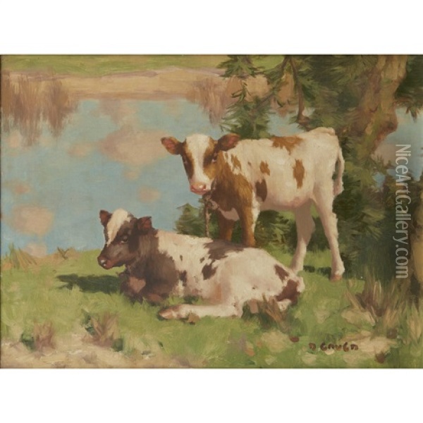 Calves In A Field Oil Painting - David Gauld
