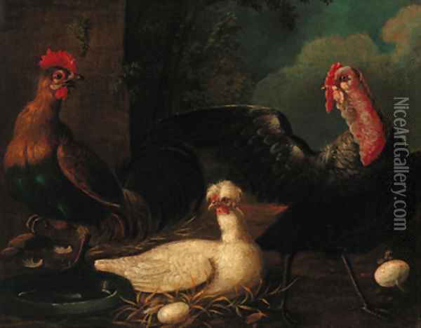 Poultry in a farmyard Oil Painting - Jacomo (or Victor, Jacobus) Victors
