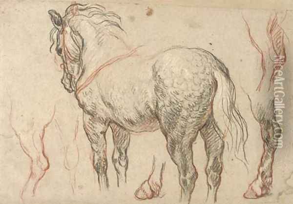 A dappled grey horse with subsidiary studies of its legs Oil Painting - Charles de Lafosse