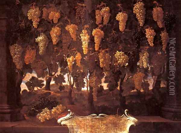 Grapes Oil Painting - Bartolommeo Bimbi