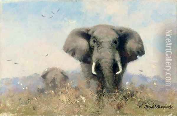 An elephant with birds Oil Painting - Thomas Hosmer Shepherd