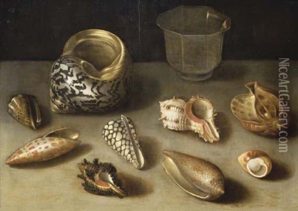 Exotic shells on a table with a glass beaker Oil Painting - Jacques Linard
