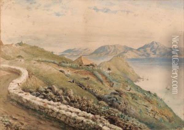Hillside In The Philippines Oil Painting - C.W. Andrews