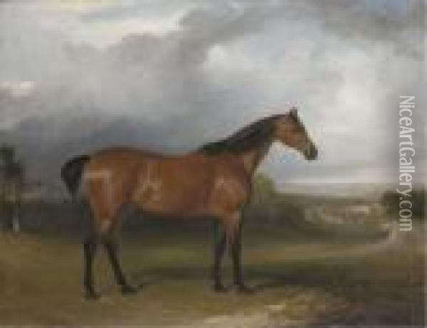 A Bay Hunter In A Landscape With
 Figures And Horses By A Path Inthe Distance And A Town Beyond Oil Painting - John Jnr. Ferneley
