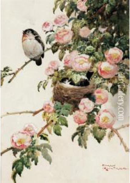 Finches Oil Painting - Harry Rountree