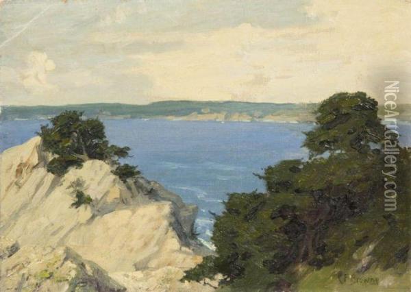 Cliffs Over The Sea Oil Painting - Charles Francis Browne