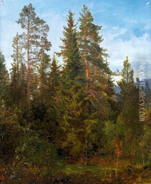 Skogsstudie Fra Eide 1868 1868 Oil Painting - Anders Monsen Askevold