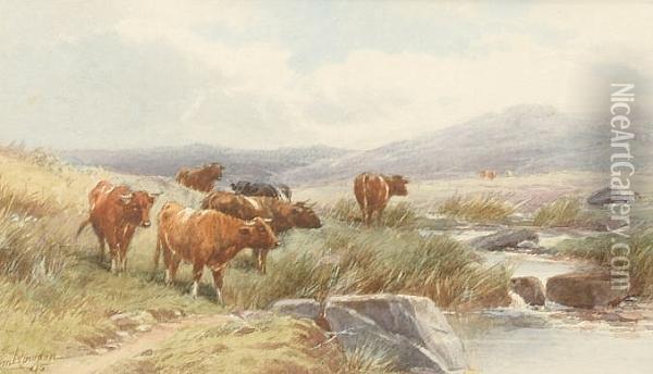 Cattle On Dartmoor Oil Painting - Thomas, Tom Rowden