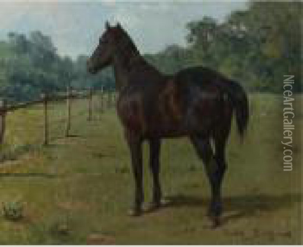 A Bay Horse In A Paddock Oil Painting - Rosa Bonheur