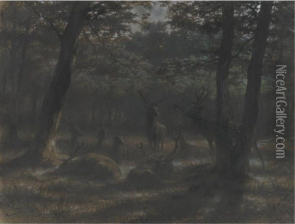 Deer In The Moonlight Oil Painting - Rosa Bonheur