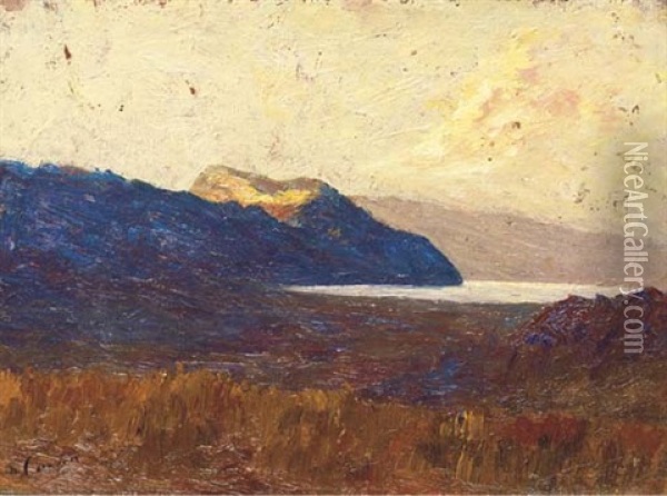 Le Lac Du Bourget Oil Painting - Joseph Melchior Carron