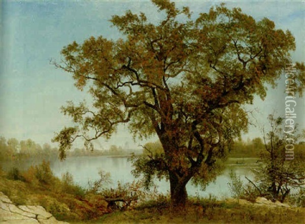 A View Of Sacramento Oil Painting - Albert Bierstadt