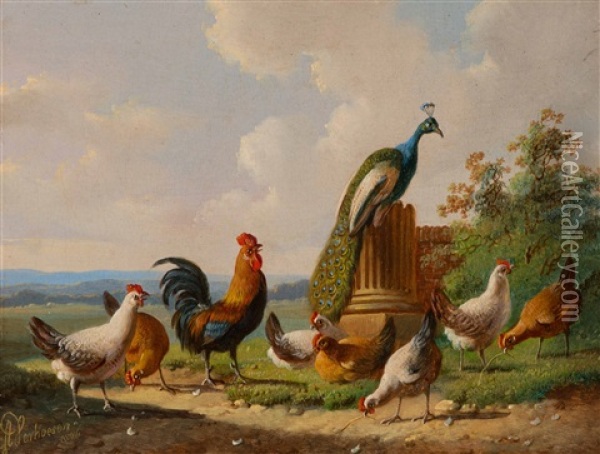 Chickens And A Peacock By A Column Oil Painting - Albertus Verhoesen