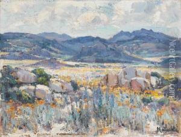 Namaqualand In Bloom Oil Painting - Hugo Pieter Naude