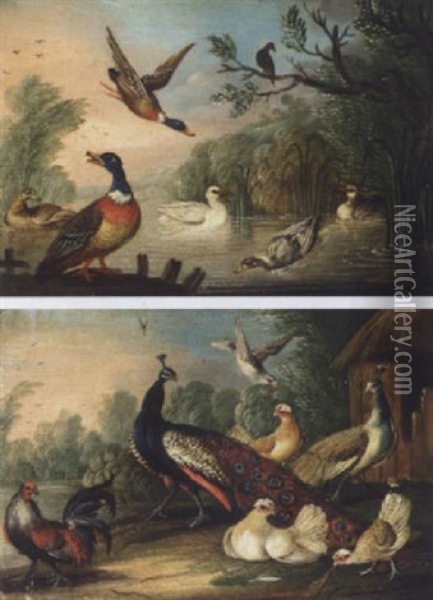 Peacock, Peahen And Other Fowl In A Landscape Oil Painting - Pieter Casteels III
