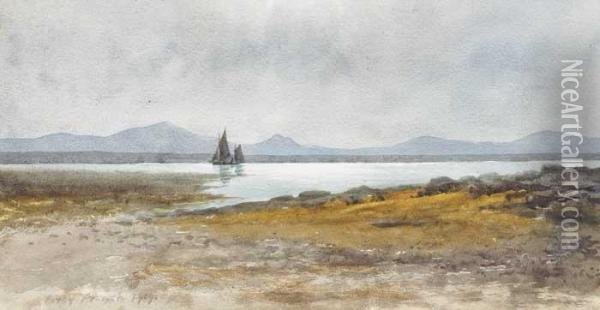 Sailing Boats In A Lough Oil Painting - William Percy French