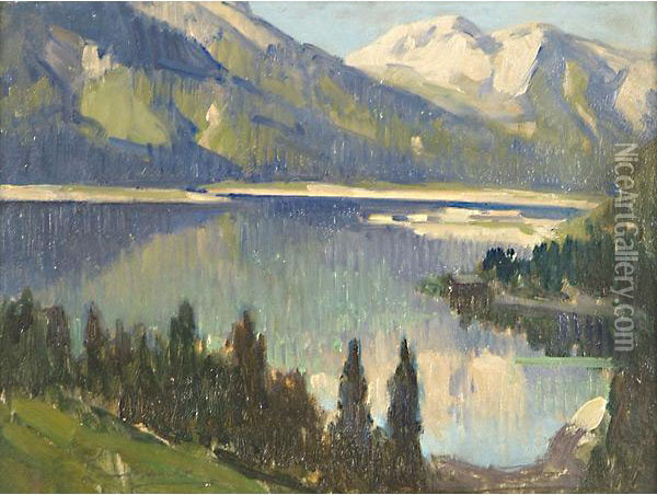 Lago Alpino Oil Painting - Giovanni Zangrando