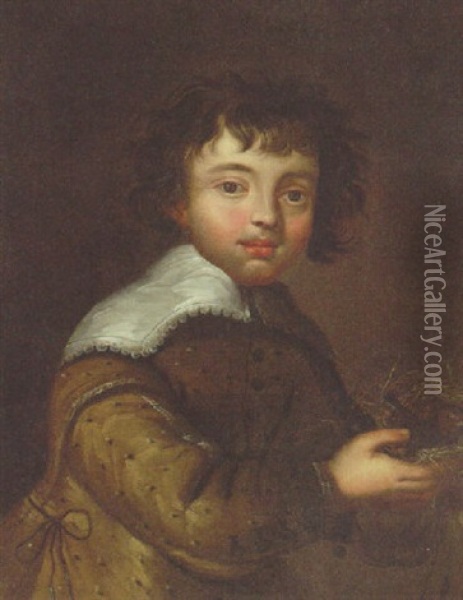 Portrait Of A Boy, Half-length In A Fawn Jacket And Lawn Collar, Holding A Bird's Nest Oil Painting - Govaert Flinck