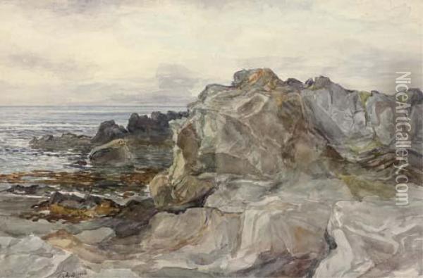 Rocks Of Dunure Oil Painting - Alexander Ballingall