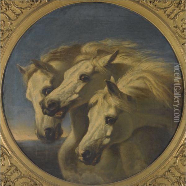 Pharaoh's Horse Oil Painting - John Frederick Herring Snr