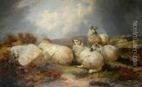 Sheep Resting Oil Painting - John Morris