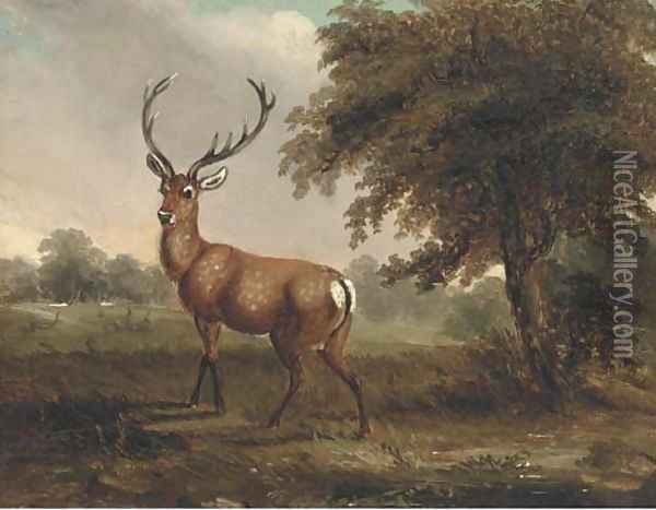 A stag in a landscape Oil Painting - James Ward