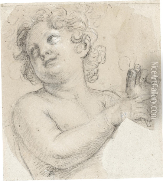 Cartoon Fragment: Study Of A Putto Oil Painting - Carlo Cignani
