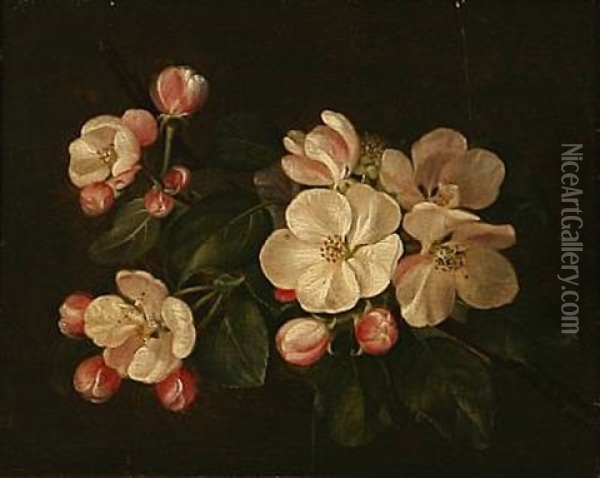 A Blooming Apple Branch Oil Painting - Sophie Ernestine Henck