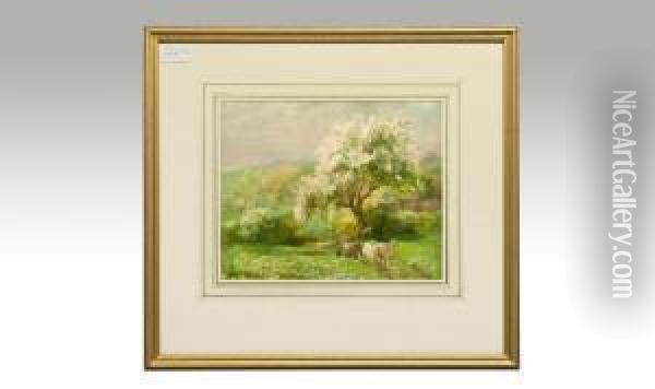 Cattle Drover Stopped After A Tree In Blossom Oil Painting - Frederick Mercer