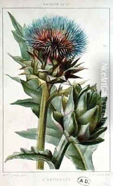 Artichoke, botanical plate Oil Painting - Buret, Marguerite (later Mme Cresty)