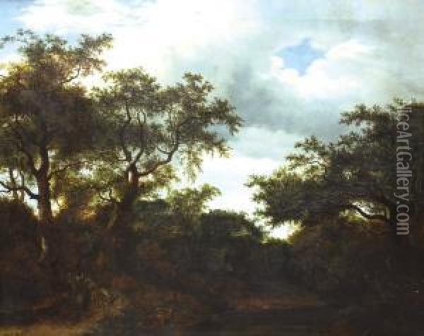 Krajina U Reky Oil Painting - Johann Novopacky
