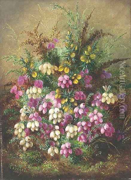 Wild flowers Oil Painting - Albert Durer Lucas