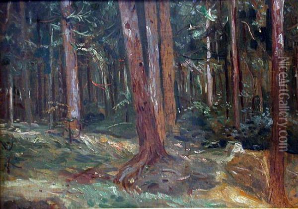 Lesne Ostepy, 1937 R. Oil Painting - Wincenty Wodzinowski