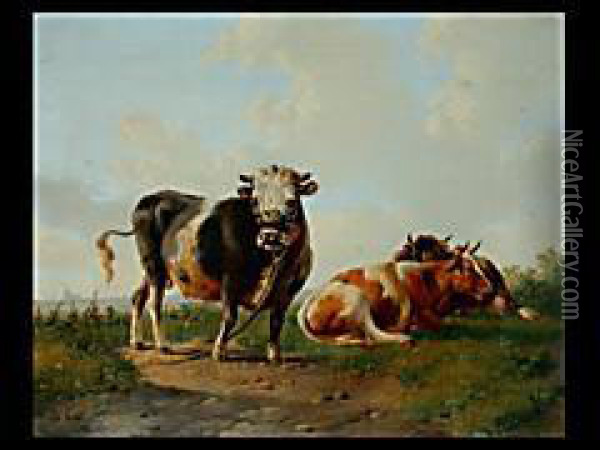 Drei Kuhe Auf Weide Oil Painting - Albertus Verhoesen