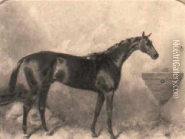 Favonius, A Chestnut Hunter In A Loosebox Oil Painting - Harry Hall