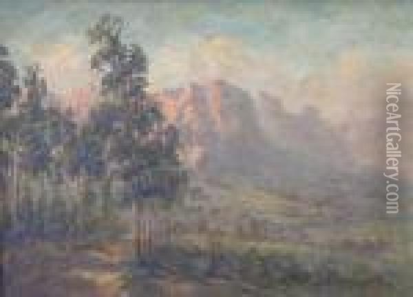 Morning In The Vineyard, Springtime, Drakenstein Oil Painting - Edward C. Churchill Mace