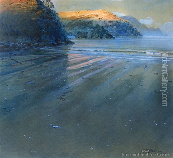 Cape Oil Painting - David Barker