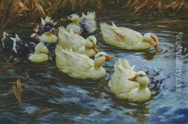 Sieben Enten Im Schilfwasser Oil Painting - Alexander Max Koester