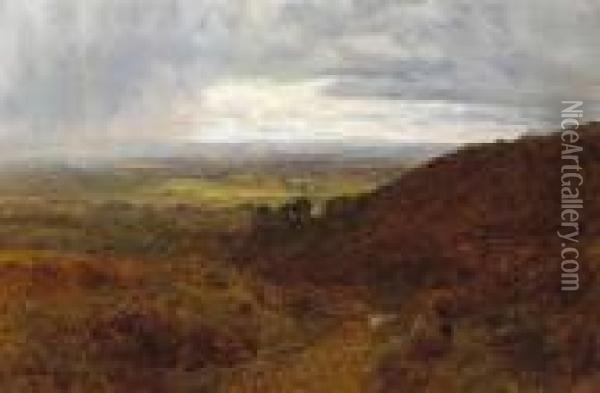 A Surrey Common Oil Painting - George Vicat Cole