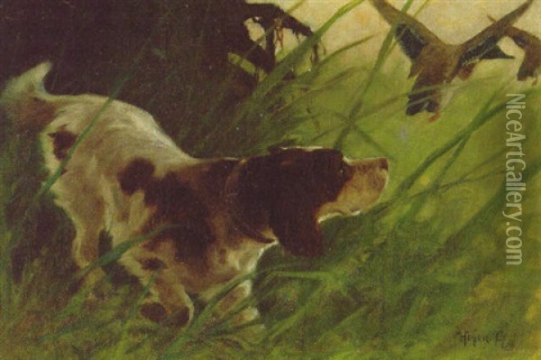 An Irish Red And White Setter Flushing Out A Mallard Oil Painting - Arthur Heyer