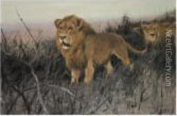 Lowen In Verbrannter Steppe (lions In A Burnt Steppe) Oil Painting - Wilhelm Kuhnert