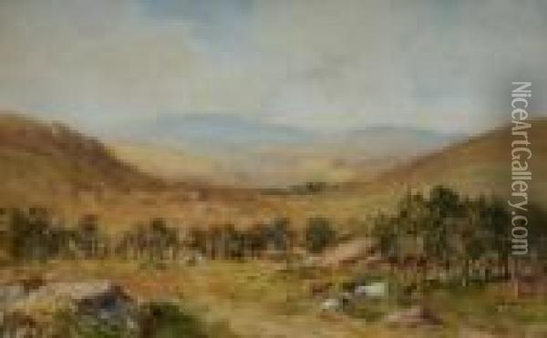 Cattle Grazing In A Valley Pasture Oil Painting - William Bingham McGuinness