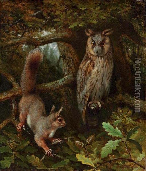An Owl And Squirrel In An Oak Tree Oil Painting - Henry Barlow Carter