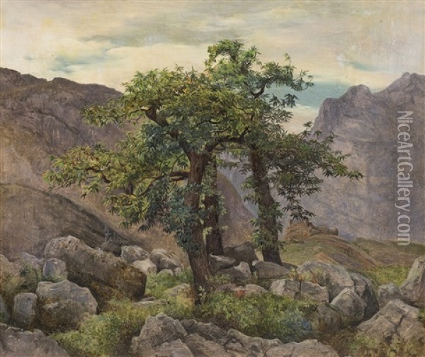 Stromovi V Krajine Oil Painting - Johann Novopacky